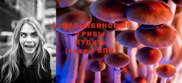 PSILOCYBIN Бугульма